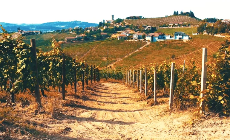 Vivir cerca de la ruta del vino Ensenada
