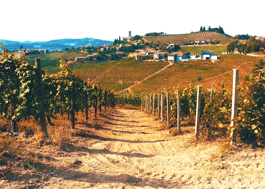 Vivir cerca de la ruta del vino Ensenada
