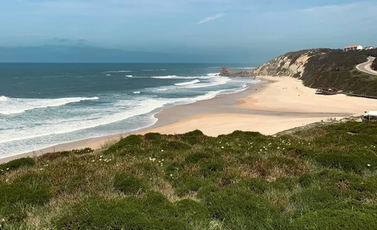 Terreno en zonas costeras de Ensenada: invierte sin salir de EE. UU.