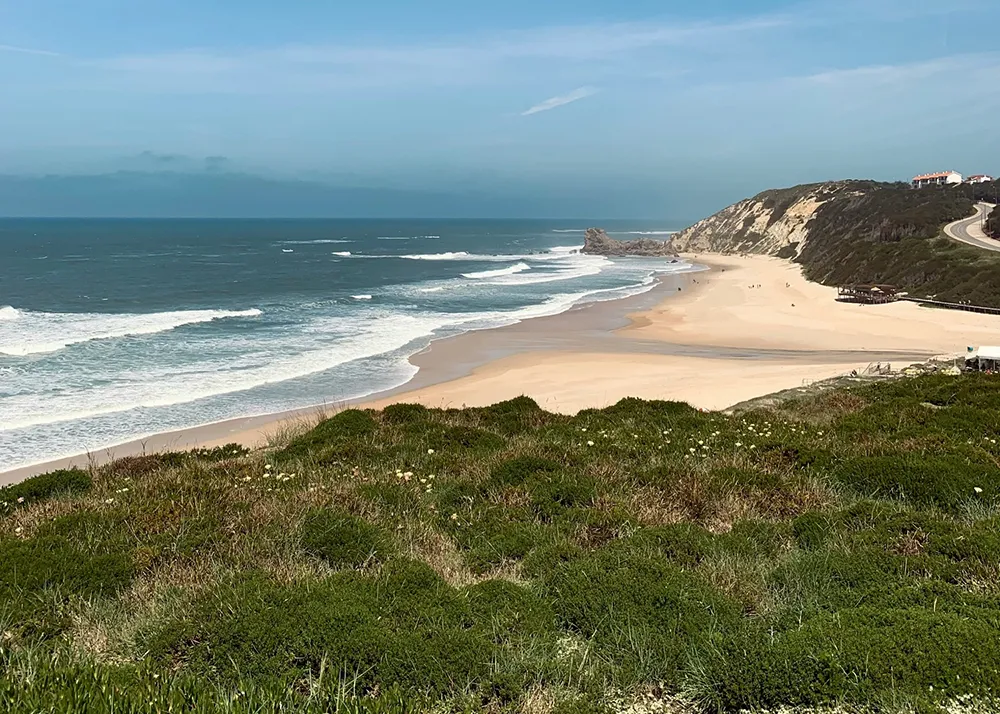 Terreno en zonas costeras de Ensenada: invierte sin salir de EE. UU.